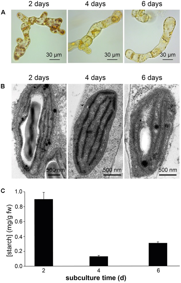 FIGURE 3