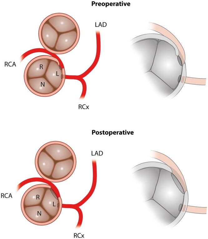 Figure 2: