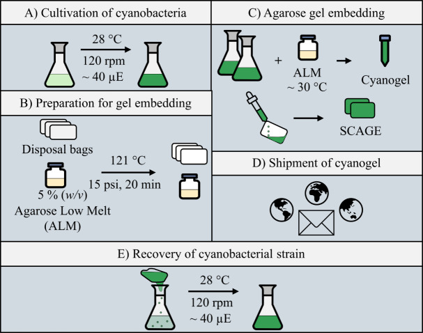 graphic file with name BioProtoc-14-23-5125-ga001.jpg