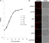 FIG. 2.