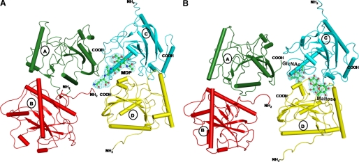 FIGURE 1.