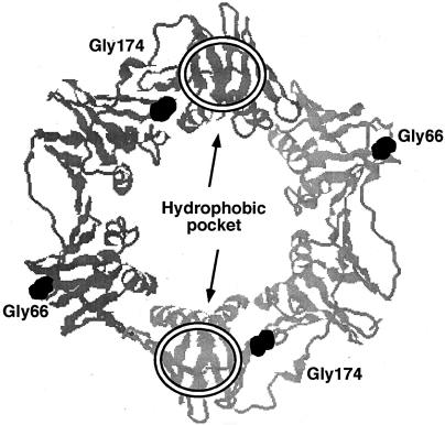 FIG. 1.