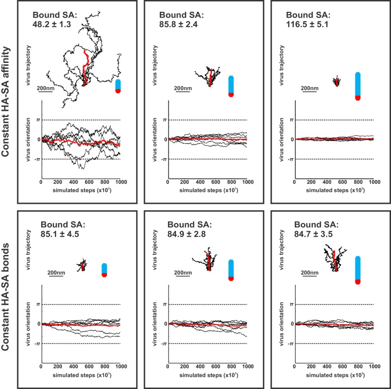 Figure 3—figure supplement 6.