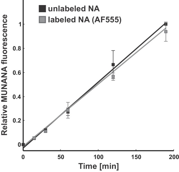 Figure 2—figure supplement 1.