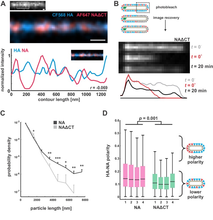 Figure 3—figure supplement 2.