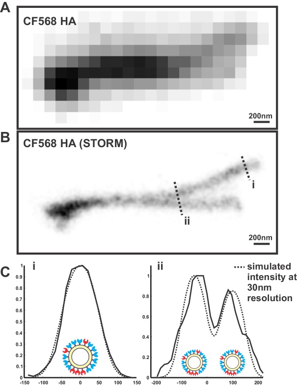 Figure 1—figure supplement 2.