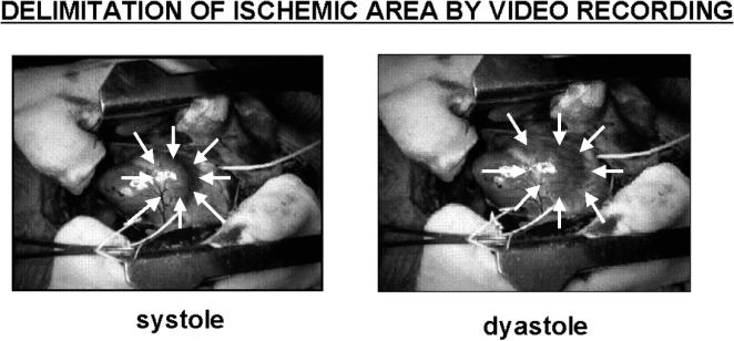 Fig 6.