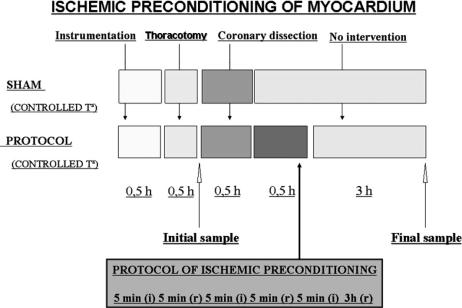 Fig 1.