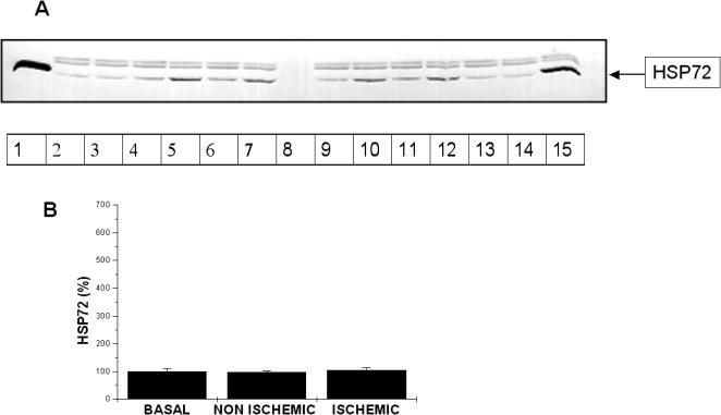 Fig 8.