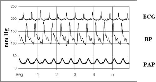 Fig 5.