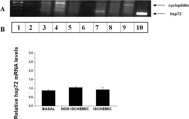 Fig 7.