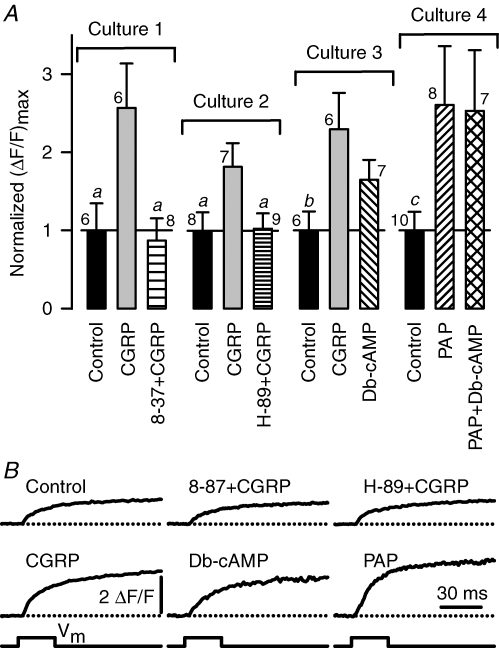 Figure 7