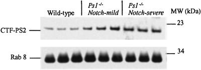 Fig 5.