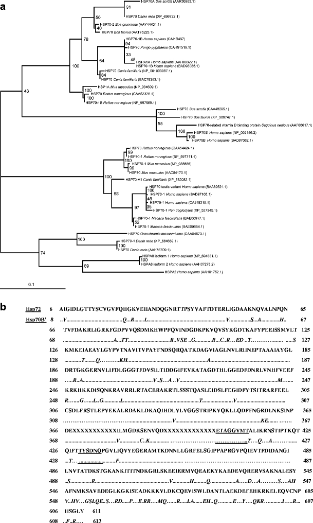 Fig. 3