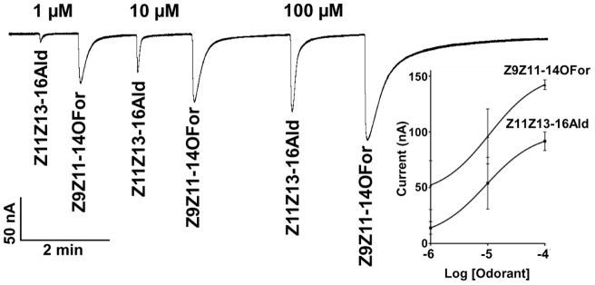 Figure 8