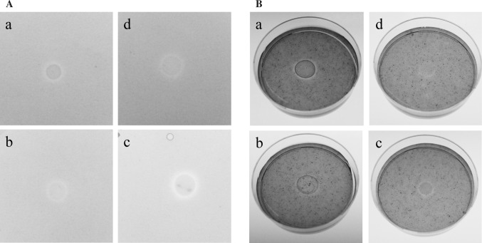 Fig. 5