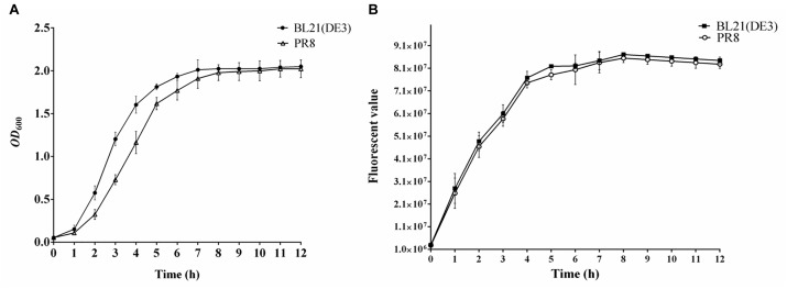 FIGURE 11