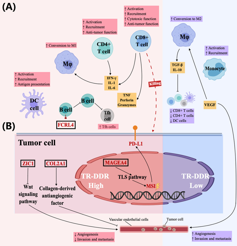 Figure 6