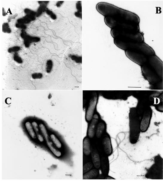 FIG. 5.