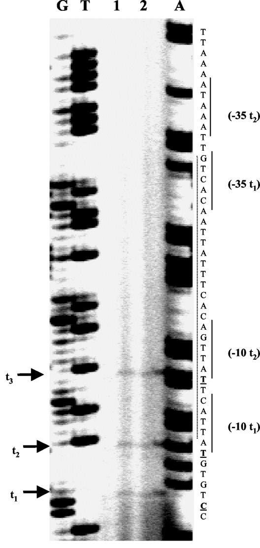 FIG. 4.