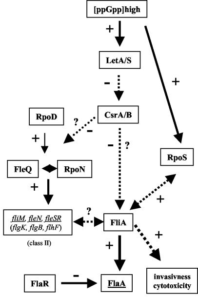 FIG. 6.