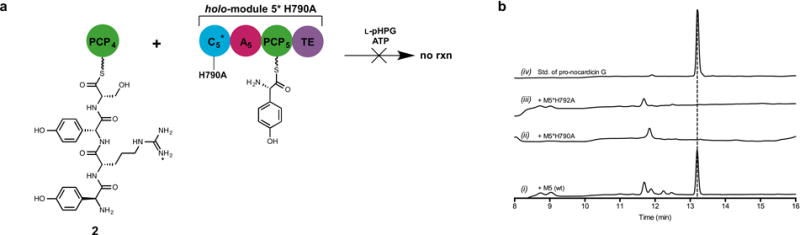 Extended Data Figure 6