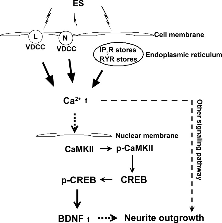 Fig 8