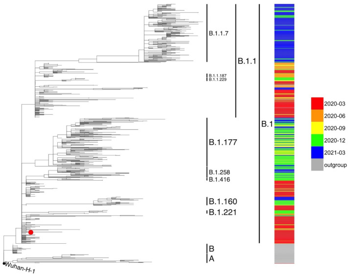 Fig. 1