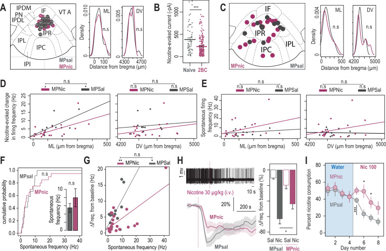 Figure 3—figure supplement 1.