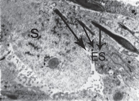 Figure 3b