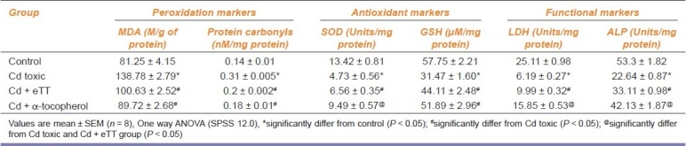 graphic file with name IJPharm-43-568-g004.jpg