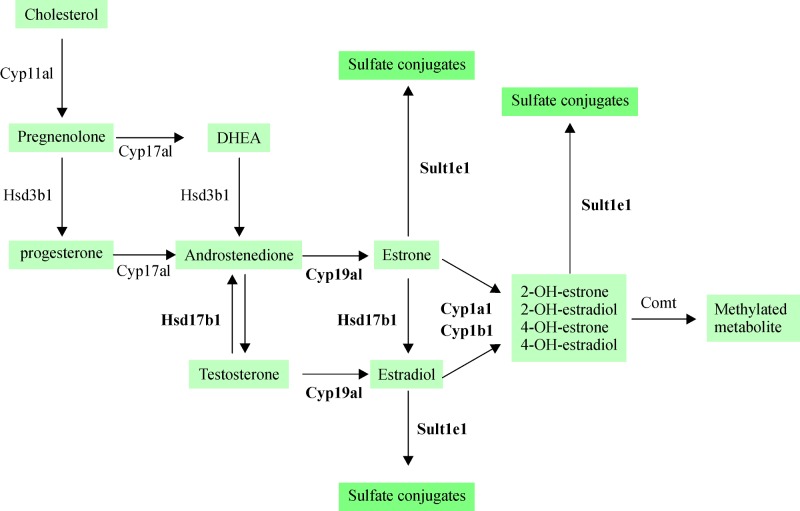 Fig.4