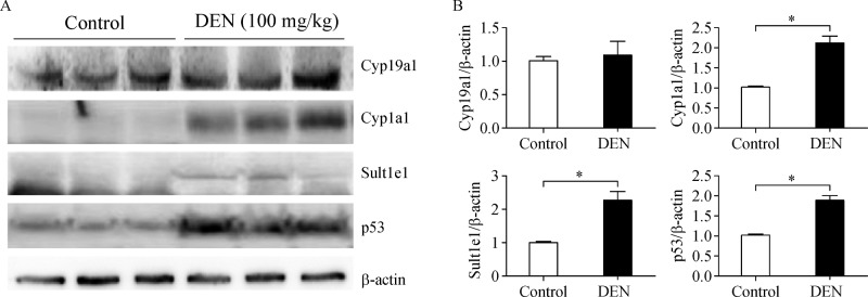 Fig.3