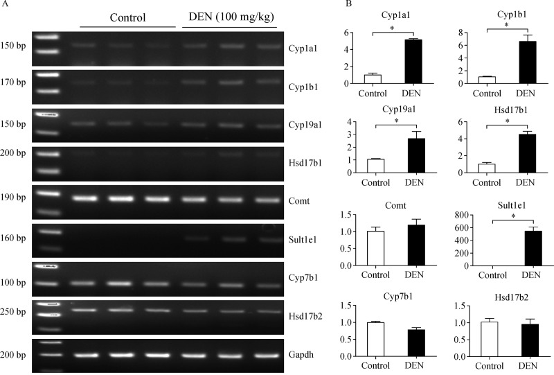 Fig.2