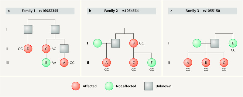 Fig. 1