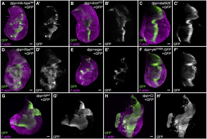 Fig. 6.