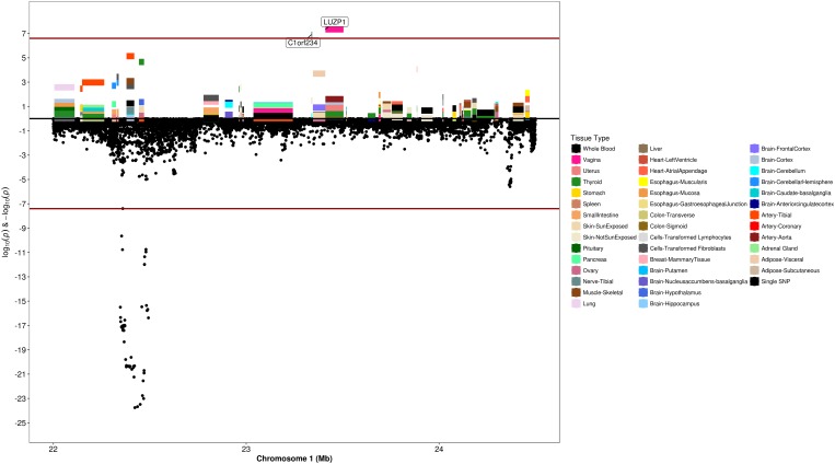 FIGURE 6