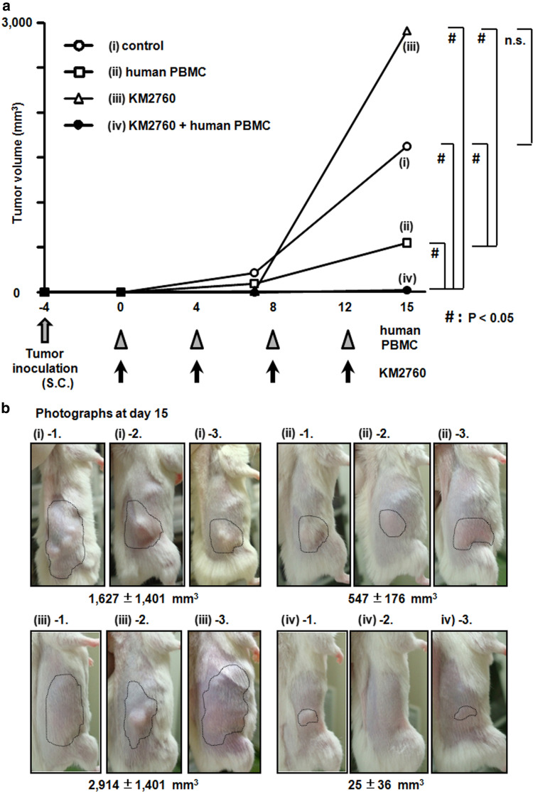 Fig. 4