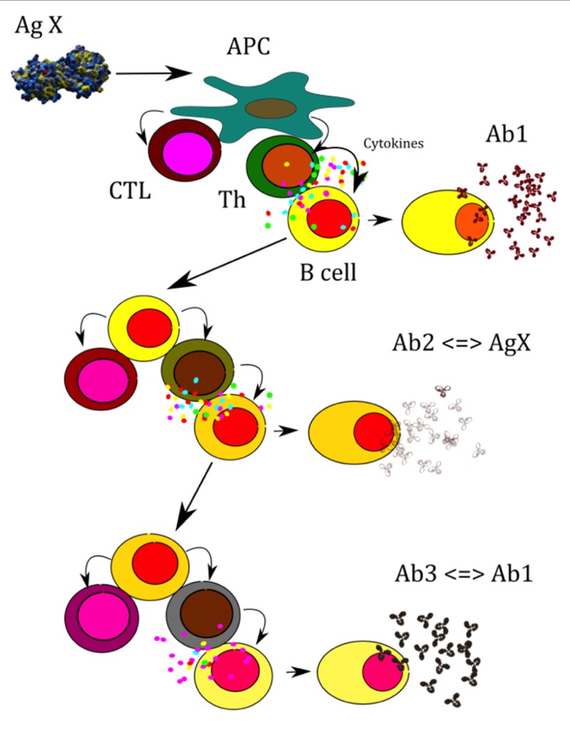 FIGURE 1