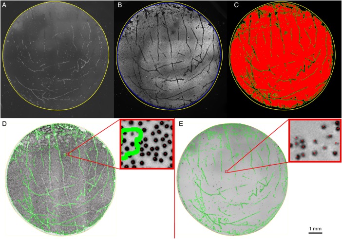 Figure 3