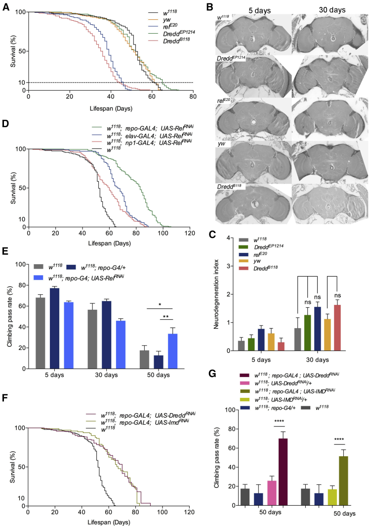 Figure 6