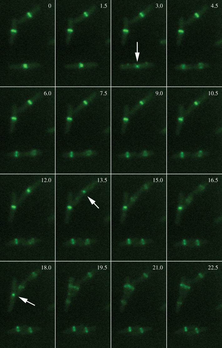 Figure 2.