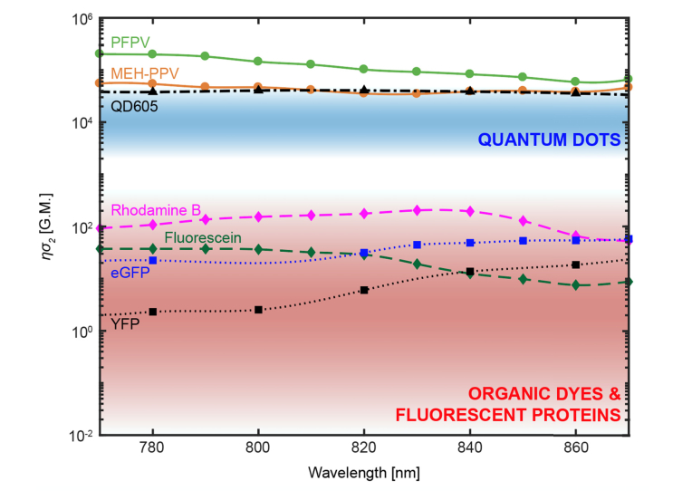 Fig. 10