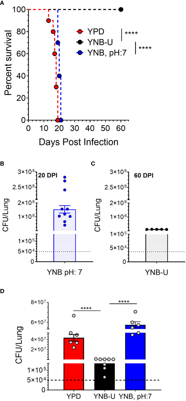 Figure 6