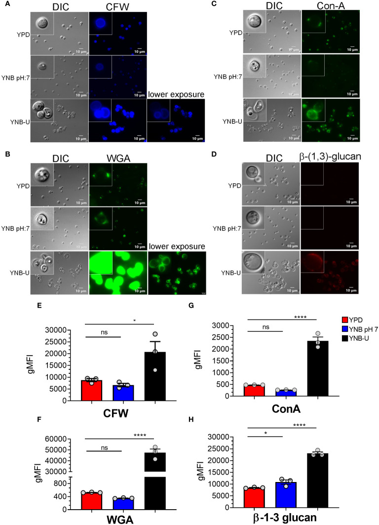 Figure 3