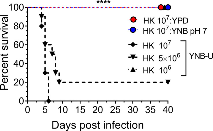 Figure 7