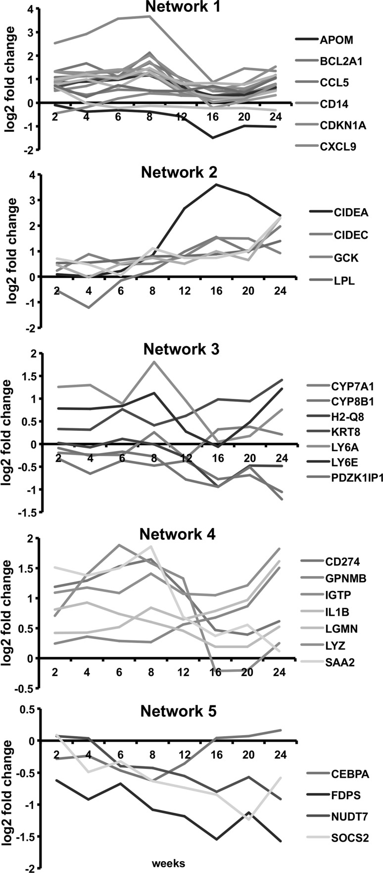 Fig. 4