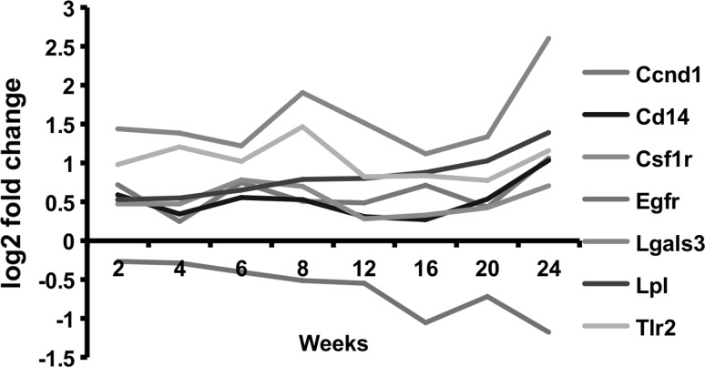 Fig. 6