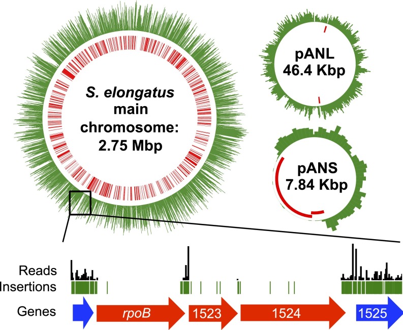 Fig. 1.