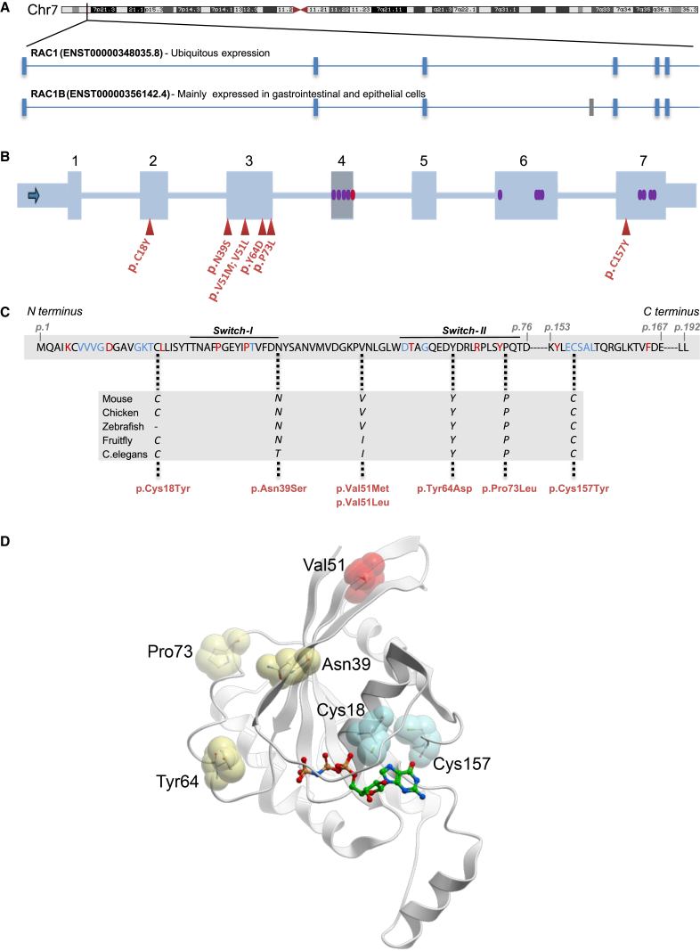 Figure 1